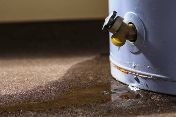 Best Water damage contractors near me  in Glenns Ferry, ID