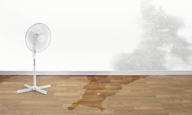 Best Ceiling water damage repair  in Glenns Ferry, ID
