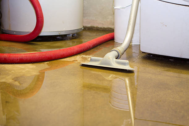  Glenns Ferry, ID Water damage restoration Pros