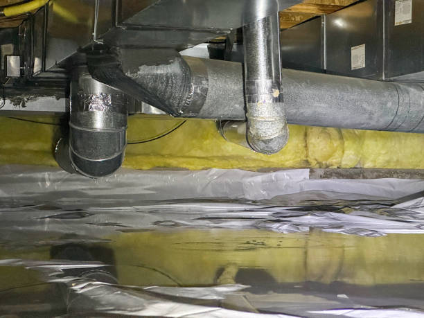 Best Professional water damage repair  in Glenns Ferry, ID