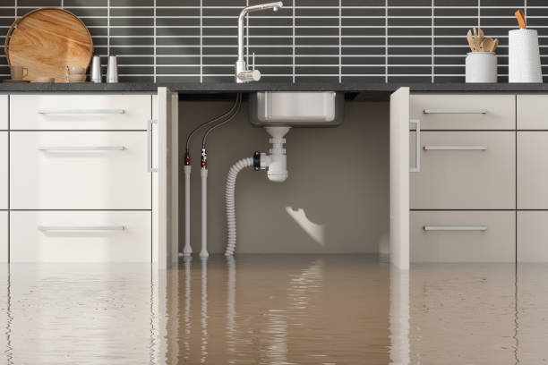 Best Local water damage restoration  in Glenns Ferry, ID